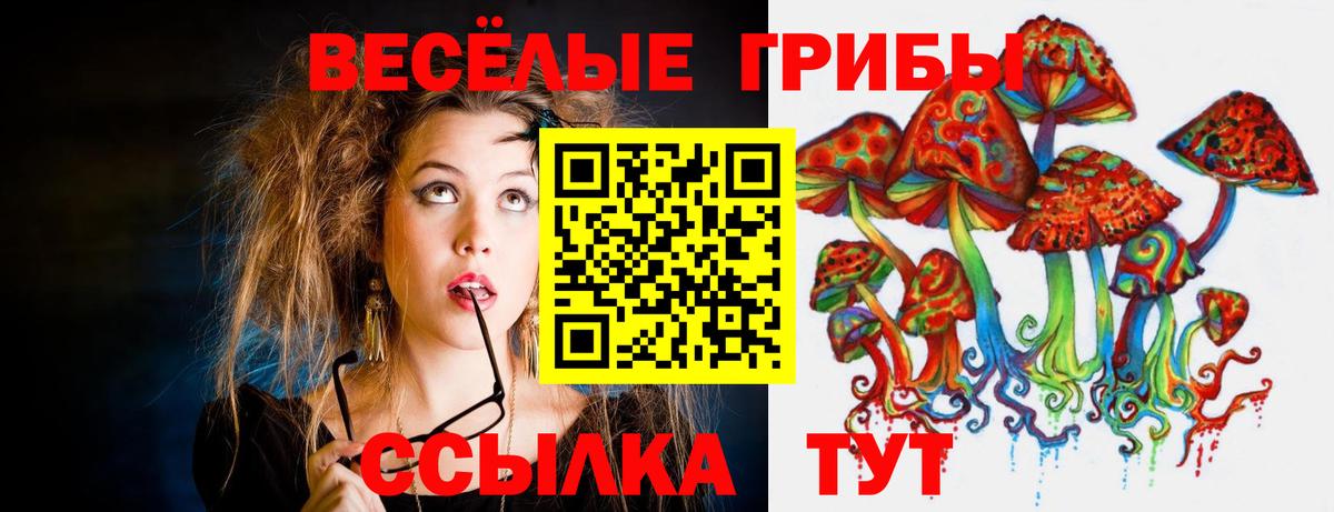 Псилоцибиновые грибы ЛСД Майкоп