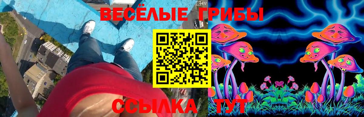 Псилоцибиновые грибы прущие грибы  Псилоцибиновые грибы мухоморы  Вход с VPN  Майкоп 